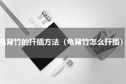 龟背竹的扦插方法（龟背竹怎么扦插）