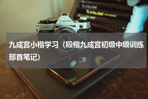 九成宫小楷学习（殴楷九成宫初级中级训练部首笔记）