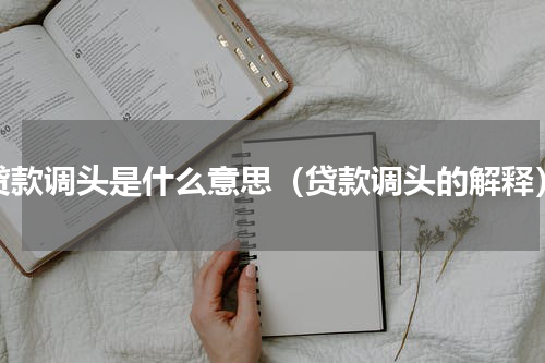 贷款调头是什么意思（贷款调头的解释）