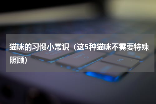 猫咪的习惯小常识（这5种猫咪不需要特殊照顾）