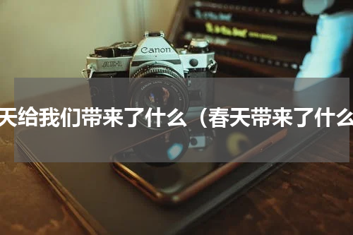 春天给我们带来了什么（春天带来了什么）