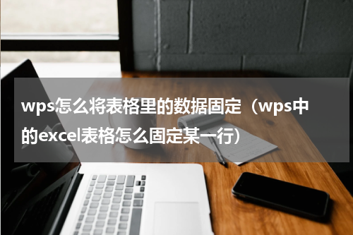 wps怎么将表格里的数据固定（wps中的excel表格怎么固定某一行）