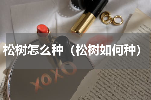 松树怎么种（松树如何种）