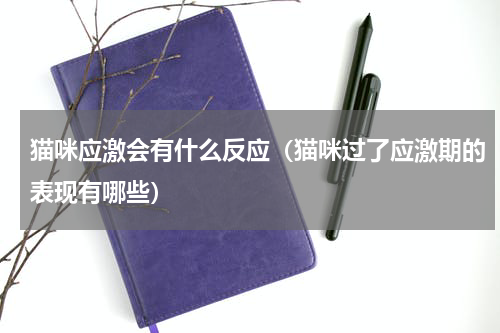 猫咪应激会有什么反应（猫咪过了应激期的表现有哪些）