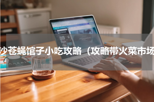 长沙苍蝇馆子小吃攻略（攻略带火菜市场）
