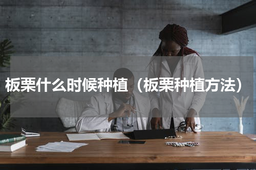 板栗什么时候种植（板栗种植方法）