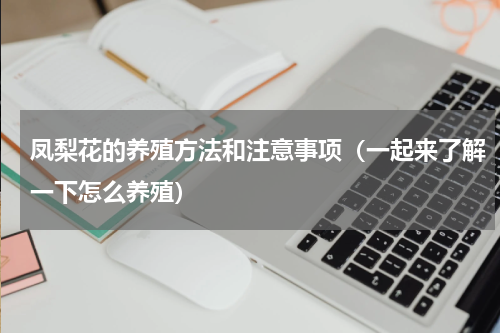 凤梨花的养殖方法和注意事项（一起来了解一下怎么养殖）