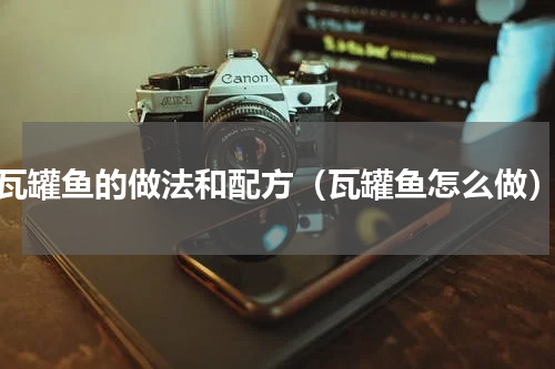 瓦罐鱼的做法和配方（瓦罐鱼怎么做）