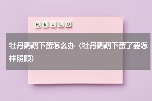 牡丹鹦鹉下蛋怎么办（牡丹鹦鹉下蛋了要怎样照顾）
