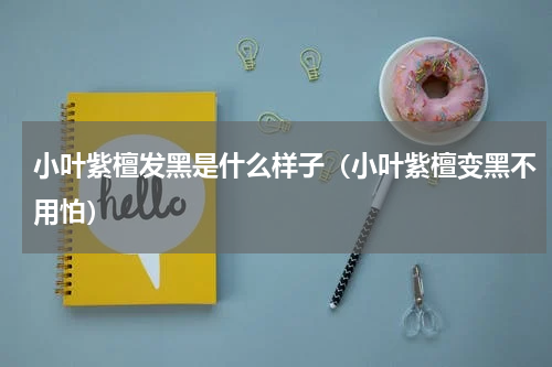 小叶紫檀发黑是什么样子（小叶紫檀变黑不用怕）