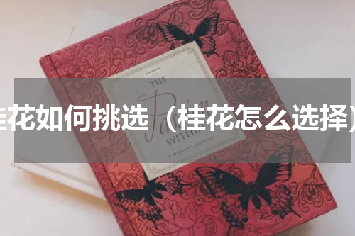 桂花如何挑选（桂花怎么选择）
