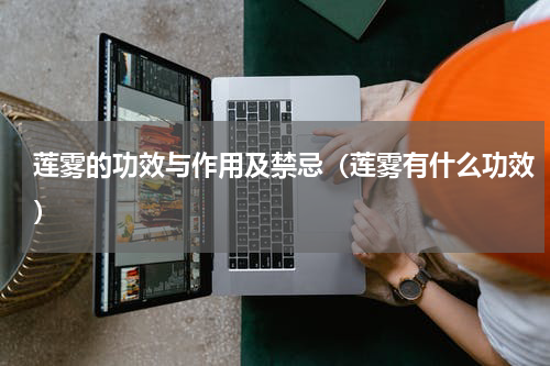 莲雾的功效与作用及禁忌（莲雾有什么功效）