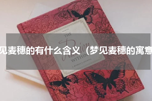 梦见麦穗的有什么含义（梦见麦穗的寓意）