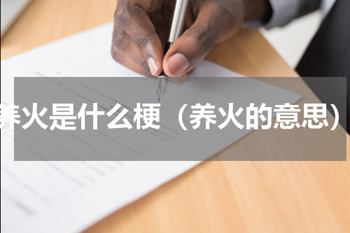 养火是什么梗（养火的意思）
