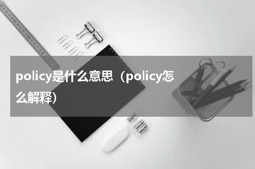 policy是什么意思（policy怎么解释）