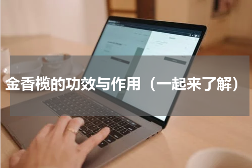 金香榄的功效与作用（一起来了解）