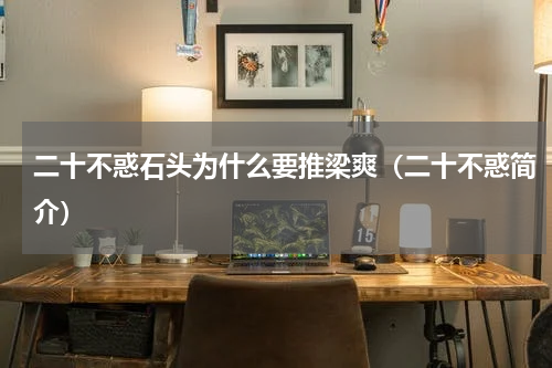 二十不惑石头为什么要推梁爽（二十不惑简介）