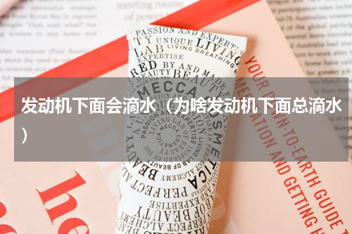 发动机下面会滴水（为啥发动机下面总滴水）