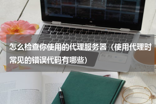 怎么检查你使用的代理服务器（使用代理时常见的错误代码有哪些）