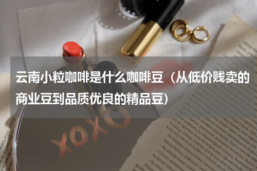 云南小粒咖啡是什么咖啡豆（从低价贱卖的商业豆到品质优良的精品豆）