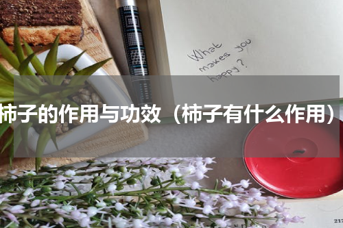 柿子的作用与功效（柿子有什么作用）