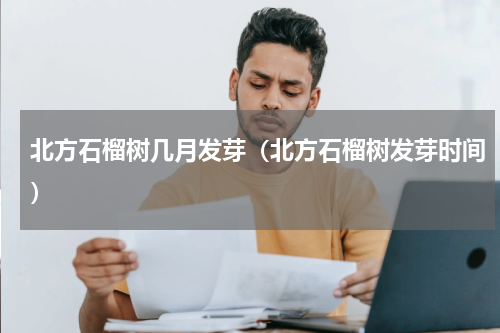 北方石榴树几月发芽（北方石榴树发芽时间）
