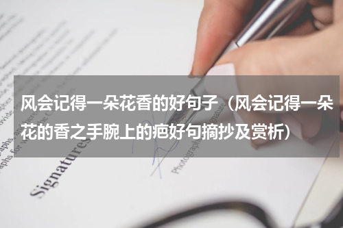 风会记得一朵花香的好句子（风会记得一朵花的香之手腕上的疤好句摘抄及赏析）