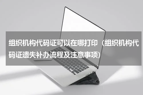 组织机构代码证可以在哪打印（组织机构代码证遗失补办流程及注意事项）