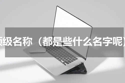 顶级名称（都是些什么名字呢）