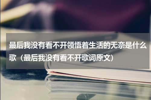 最后我没有看不开领悟着生活的无奈是什么歌（最后我没有看不开歌词原文）