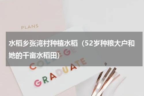 水稻乡张湾村种植水稻（52岁种粮大户和她的千亩水稻田）