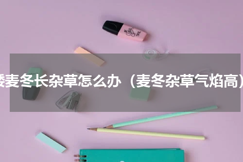 矮麦冬长杂草怎么办（麦冬杂草气焰高）