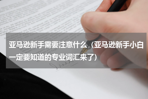 亚马逊新手需要注意什么（亚马逊新手小白一定要知道的专业词汇来了）