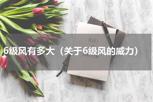 6级风有多大（关于6级风的威力）