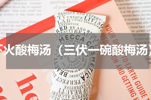 下火酸梅汤（三伏一碗酸梅汤）