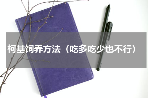 柯基饲养方法（吃多吃少也不行）