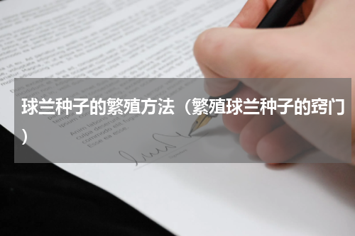 球兰种子的繁殖方法（繁殖球兰种子的窍门）
