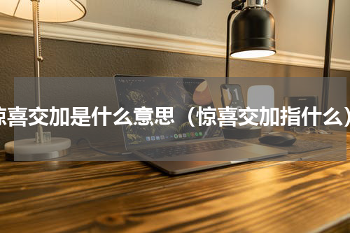 惊喜交加是什么意思（惊喜交加指什么）