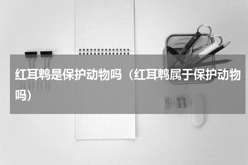 红耳鹎是保护动物吗（红耳鹎属于保护动物吗）