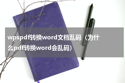 wpspdf转换word文档乱码（为什么pdf转换word会乱码）