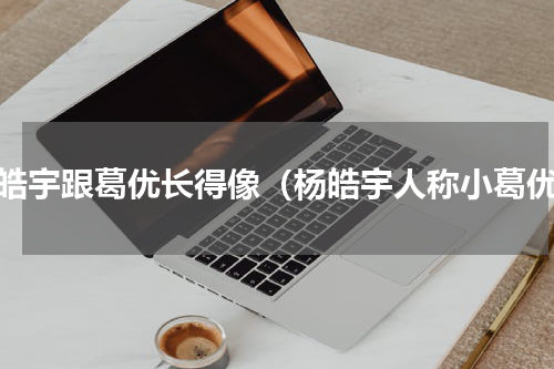 杨皓宇跟葛优长得像（杨皓宇人称小葛优）