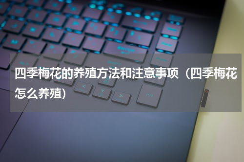 四季梅花的养殖方法和注意事项（四季梅花怎么养殖）