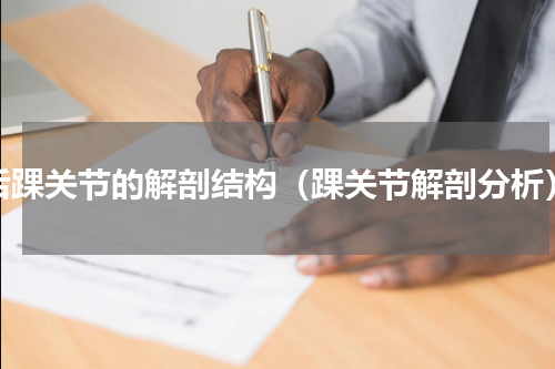 后踝关节的解剖结构（踝关节解剖分析）