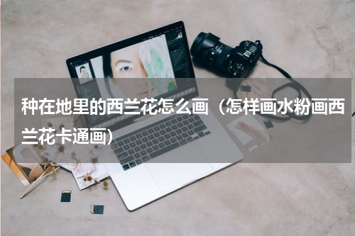 种在地里的西兰花怎么画（怎样画水粉画西兰花卡通画）