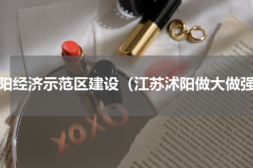 沭阳经济示范区建设（江苏沭阳做大做强）