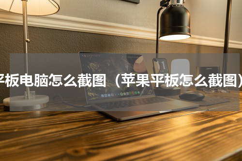 平板电脑怎么截图（苹果平板怎么截图）