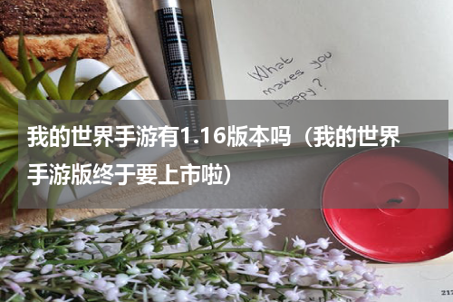 我的世界手游有1.16版本吗（我的世界手游版终于要上市啦）