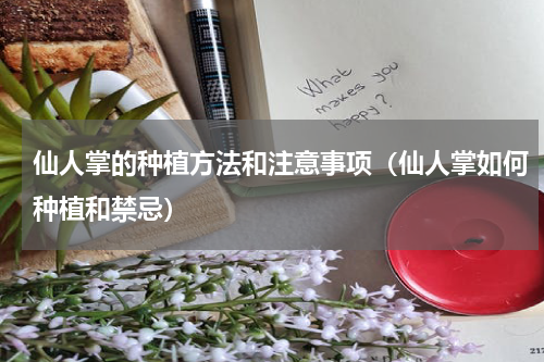 仙人掌的种植方法和注意事项（仙人掌如何种植和禁忌）