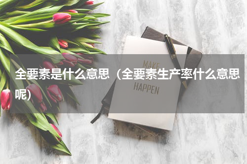 全要素是什么意思（全要素生产率什么意思呢）