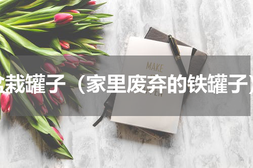 盆栽罐子（家里废弃的铁罐子）